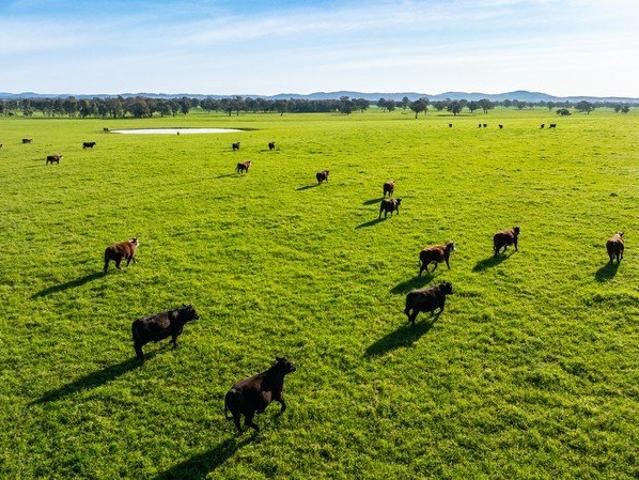 Cottage for sale in Moyhu, Rural City of Wangaratta