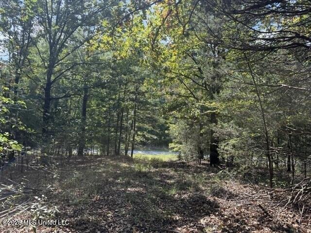 Land for sale in Byhalia, Mississippi