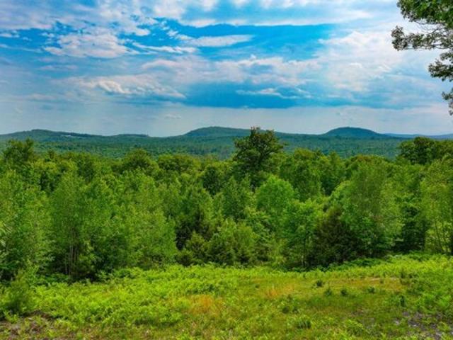 Land for sale in Waterford, Maine