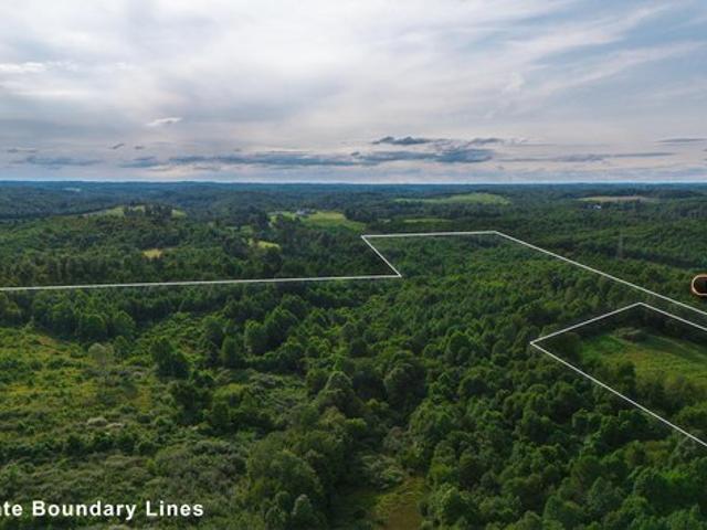Land for sale in Oak Hill, Jackson County