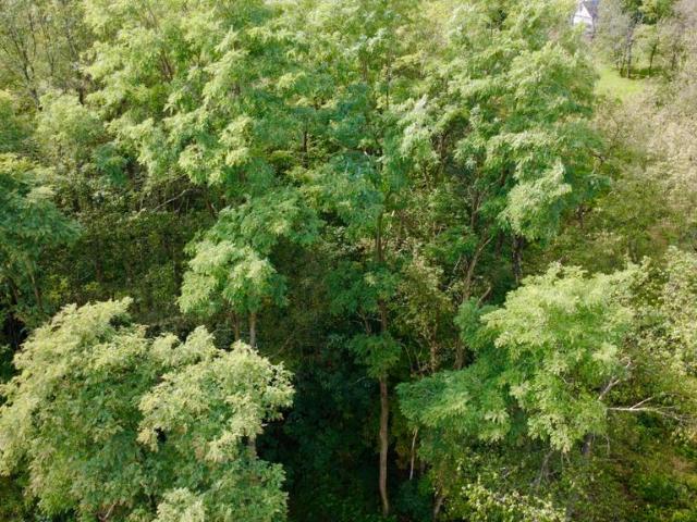 Land for sale in Clearfield, Pennsylvania