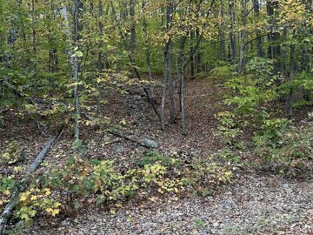 Land for sale in New Hampshire