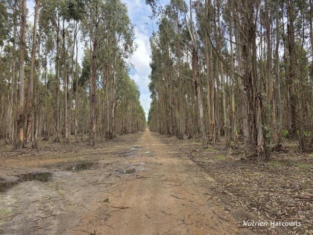 Acreage for sale in Palmdale, Western Australia