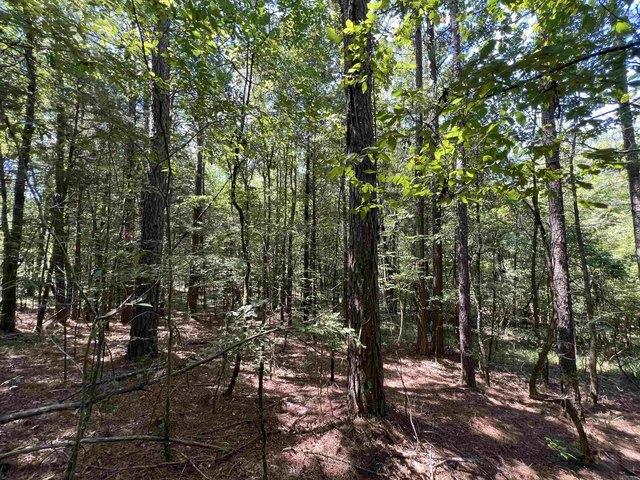 Land for sale in Ark