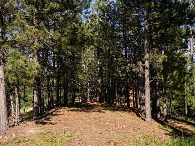 Land for sale in Lead, Lawrence County