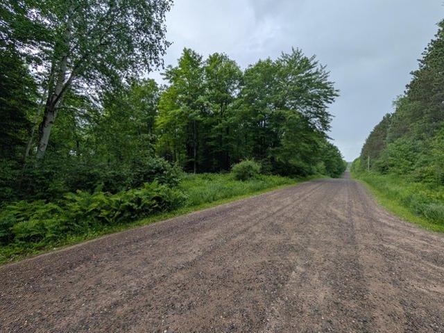 Land for sale in Vilas, Wisconsin