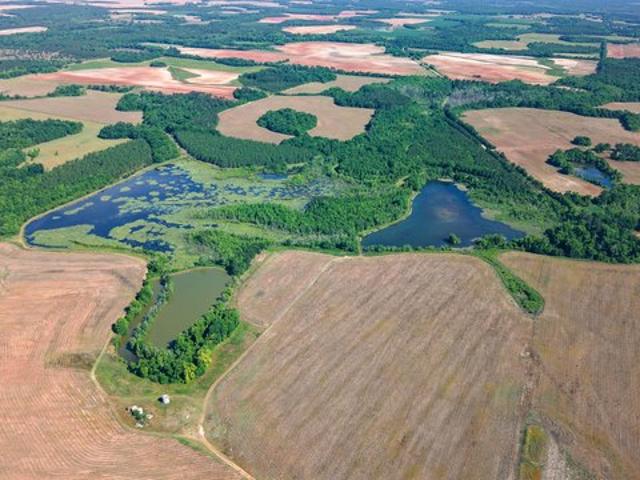 Land for sale in Edison, Georgia