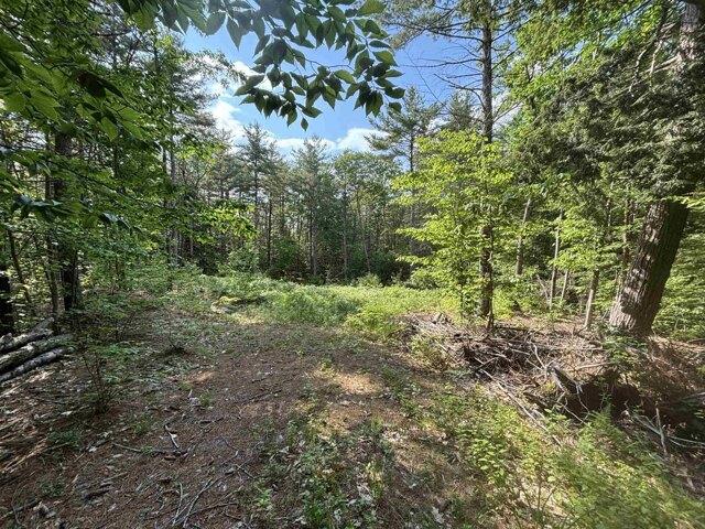Land for sale in New Hampshire