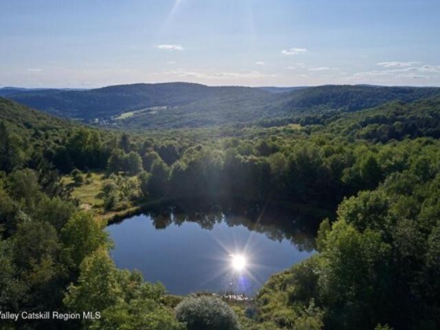 Land for sale in Andes, New York