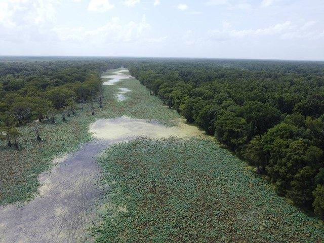 Land for sale in Sumrall, Mississippi