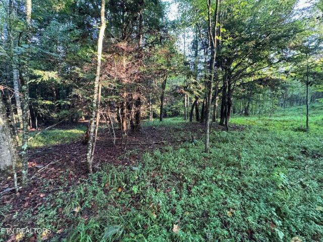 Land for sale in East Tennessee, Tennessee