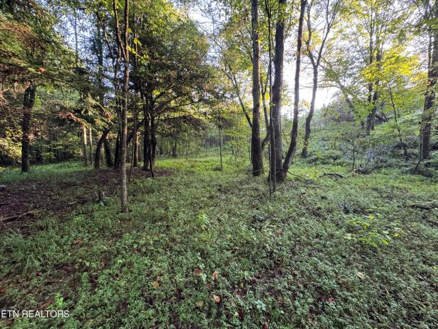 Land for sale in East Tennessee, Tennessee