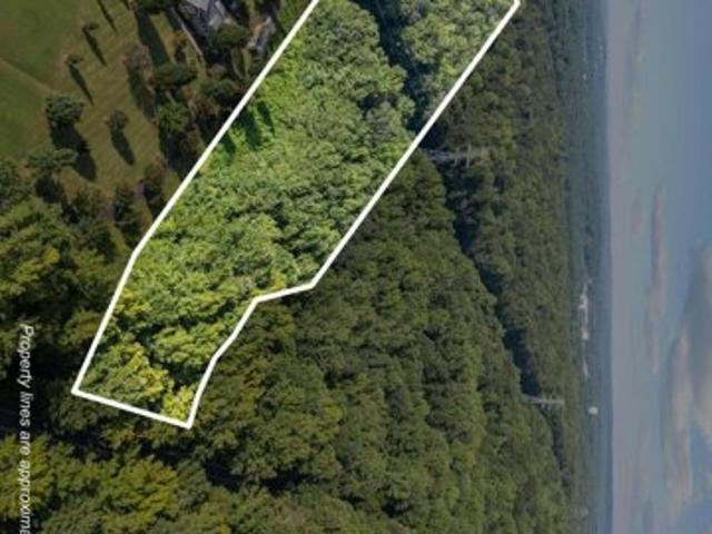 Land for sale in Hillsborough