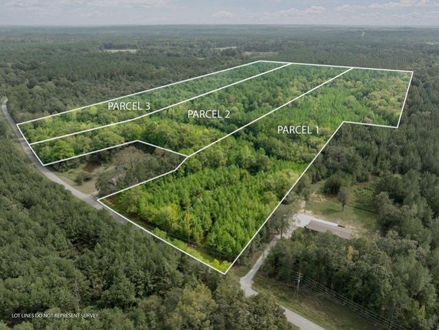 Land for sale in Purvis, Lamar County