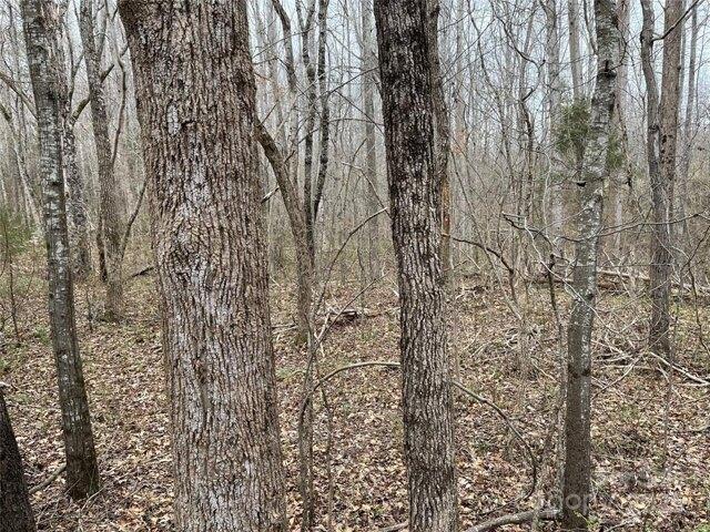 Land for sale in Shelby
