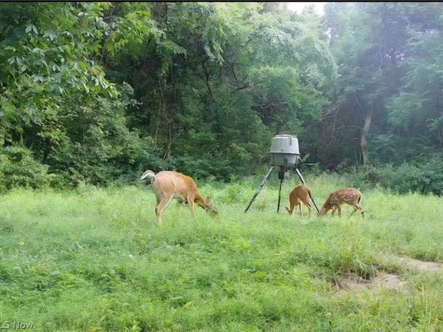 Land for sale in Noble, Ohio