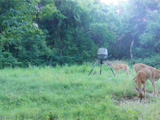 Land for sale in Noble, Ohio