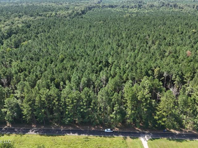 Land for sale in Morton, Mississippi