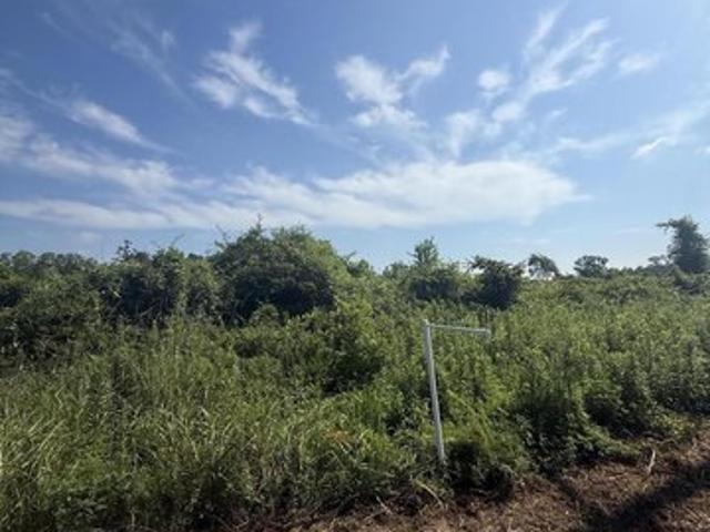 Land for sale in Lucedale, Mississippi