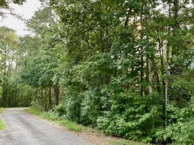 Land for sale in Monticello, Georgia