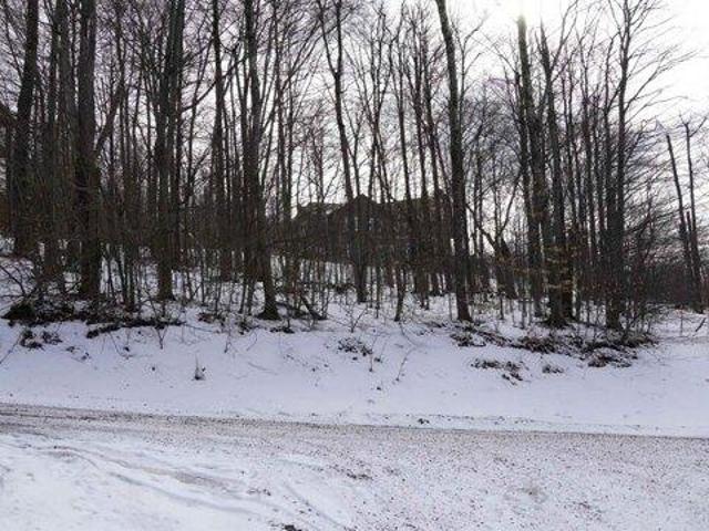 Land for sale in Davis, West Virginia