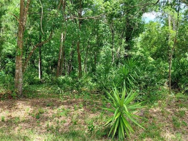 Land for sale in New Port Richey, Florida
