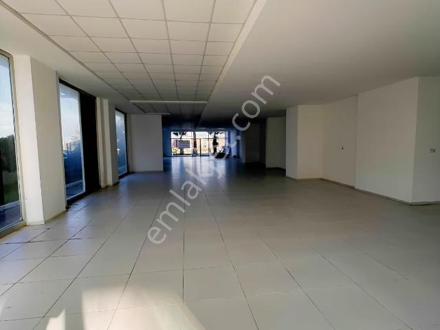 Kuşadasi, Aydin içerisinde kiralık Dükkan