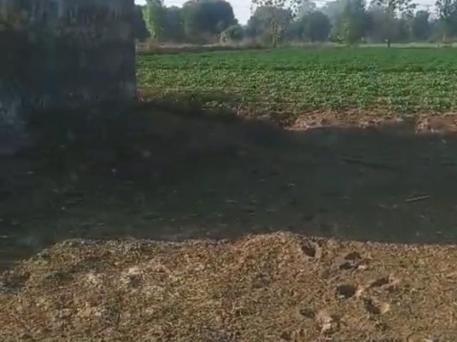 Land for sale in Arunachal Pradesh