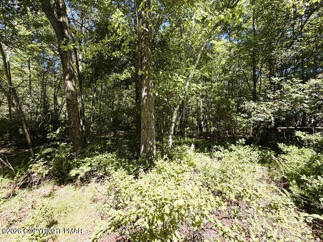 Land for sale in Buck Hill Falls, Pennsylvania