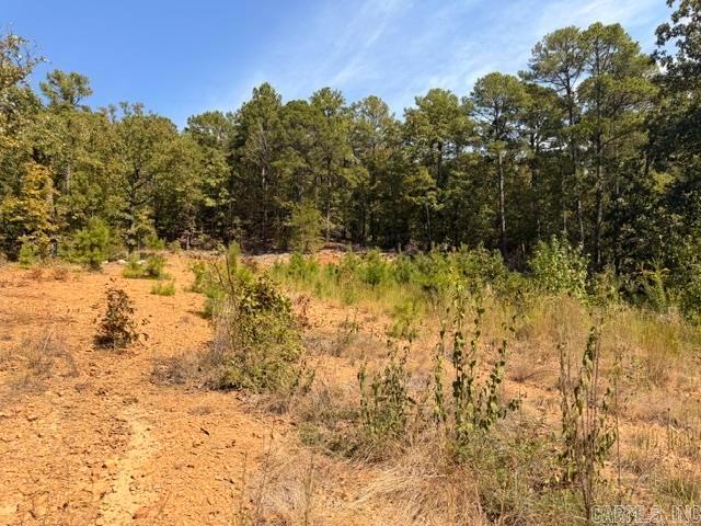 Land for sale in Mayflower, Faulkner County