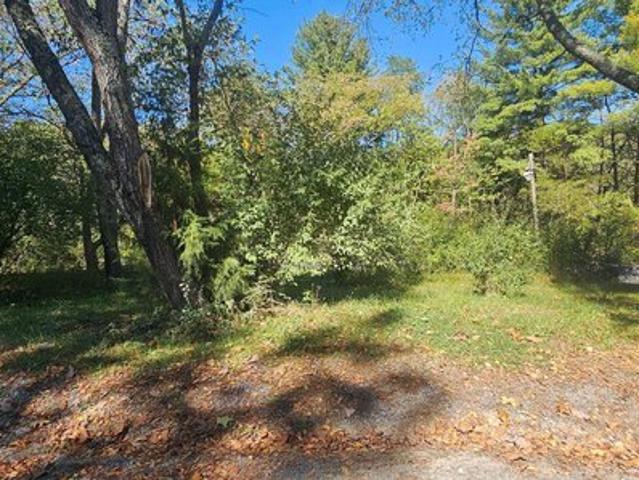 Land for sale in Fort Ashby, Mineral County