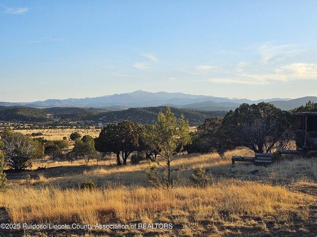 Land for sale in Capitan, New Mexico
