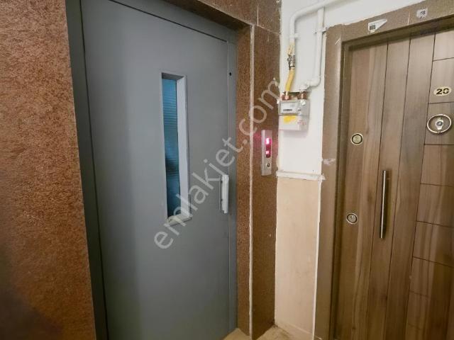 Fatih Mahallesi, Batman Merkez içerisinde kiralık mülk