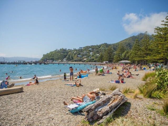 House for rent in Days Bay, Wellington