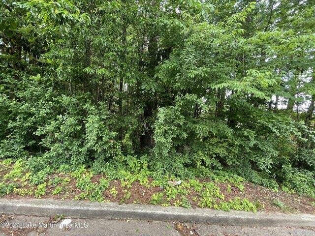 Land for sale in Alexander City