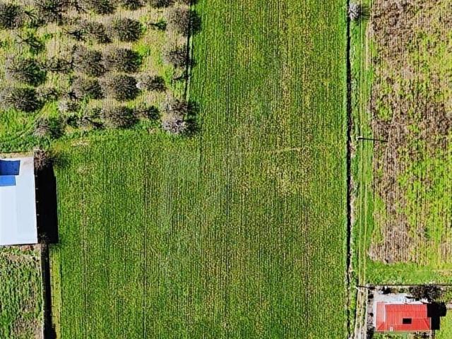 Turgutlu, Manisa içerisinde satılık Arsa