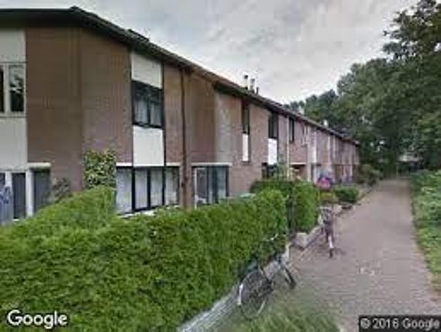 Landhuis te huur in Almelo, Windmolenbroek
