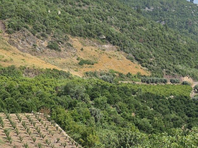 Yenişehir, Mersin içerisinde satılık mülk