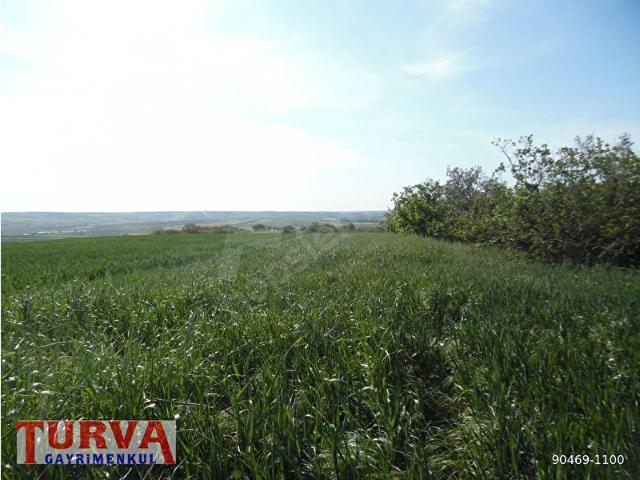 Silivri, İstanbul içerisinde satılık Arsa