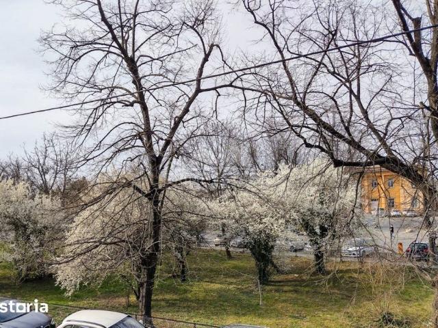 Apartament închirieri în Sector 1, București