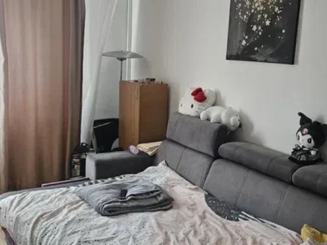 Apartament închirieri în Mircea Cel Batran, Iași