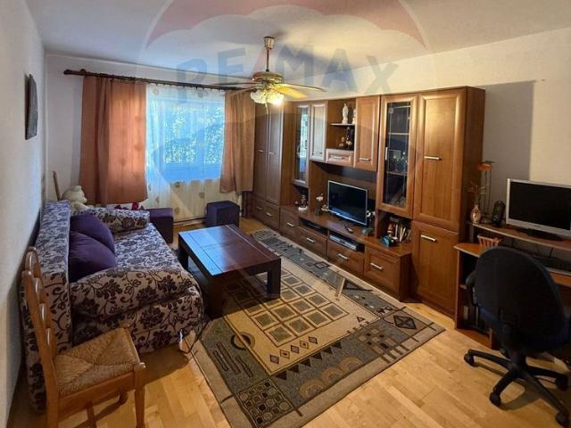 Apartament închirieri în Baia Mare, Maramureș