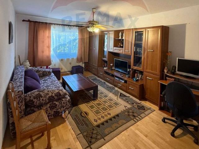 Apartament închirieri în Baia Mare, Maramureș