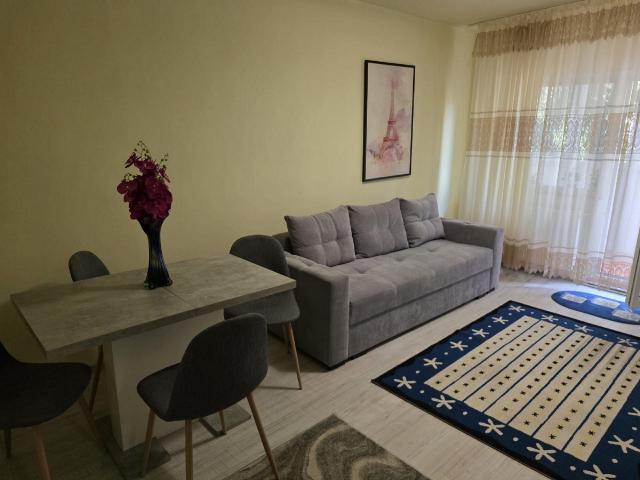 Apartament închirieri în Timisoara, Timiș