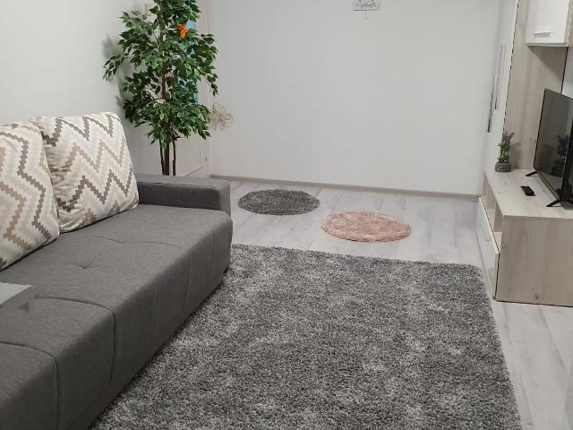 Apartament închirieri în Timisoara, Timiș