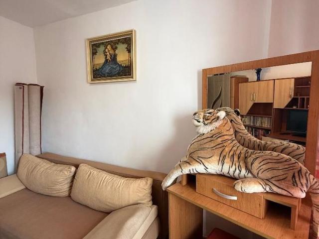 Apartament închirieri în Alba