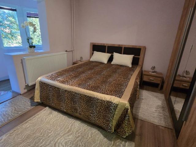 Apartament închirieri în Blașcovici, Timișoara