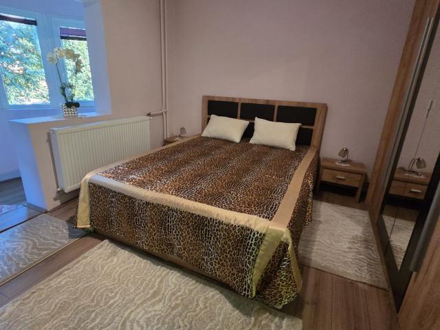 Apartament închirieri în Mehala, Timișoara