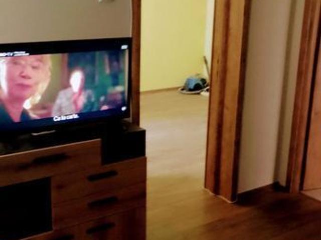 Apartament închirieri în Piatra Neamt, Neamț