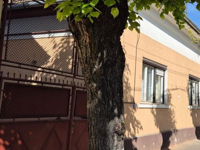 Casă închirieri în Târgu Mureș, Mureș
